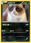 gumpy cat gumpy cat