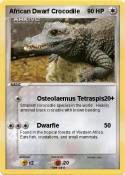 African Dwarf Crocodile African Dwarf