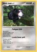 black bear