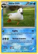 Horse Duck