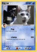 Pog cat