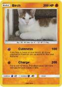 Birch