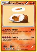 Guinea Molcar