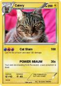 Catery