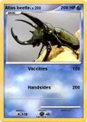 Atlas beetle