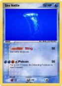 Sea Nettle