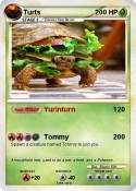 Turts Turts