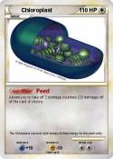 Chloroplast