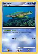 Sea turtle
