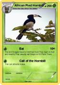 African Pied