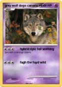 grey wolf dogo