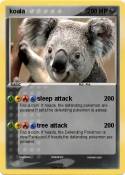 koala