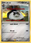 tank cat