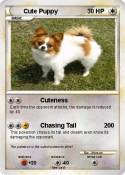 Cute Puppy