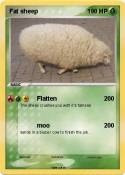 Fat sheep