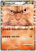 Angry Cat!