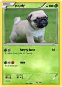 pugsly