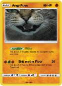 Angy Puss