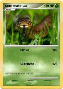 Cute snake