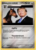 DONALDS HORSE