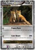 Cute Foxes