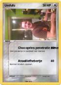 Umfufu