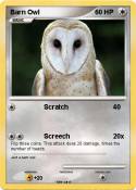 Barn Owl