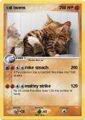 cat twens