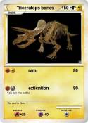 Triceratops