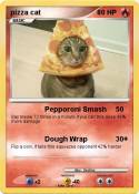 pizza cat