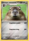 Capybara