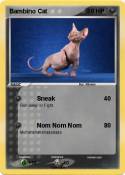 Bambino Cat