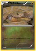 TEXAS Rattler