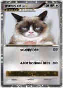 grumpy cat