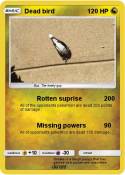 Dead bird