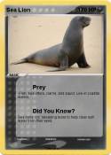 Sea Lion