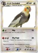 A Lil Cockatiel