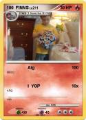 100 FINNS