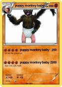 puppy monkey