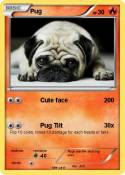 Pug