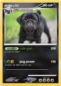puga