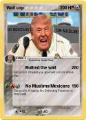 Wall cop