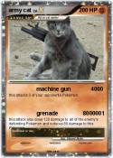 army cat