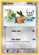 poke famliy