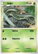 Snake