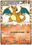CHARIZRD DOGE