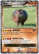 Hippo