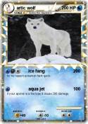 artic wolf