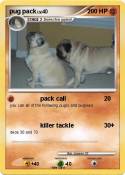pug pack