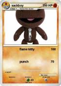 sackboy